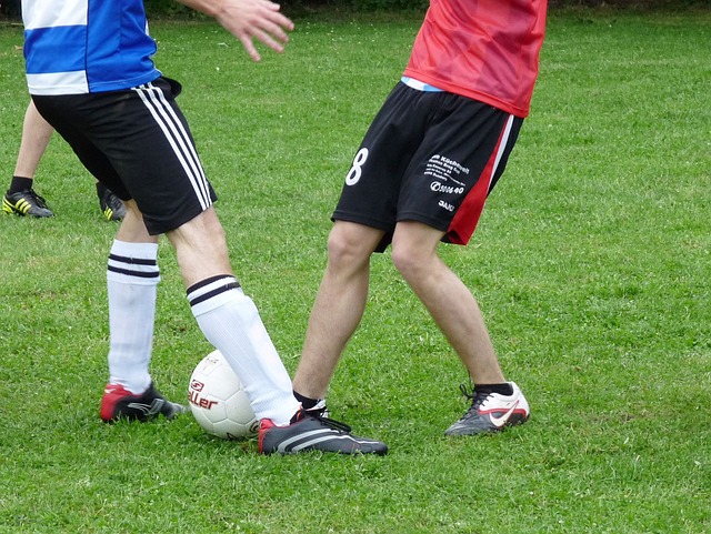 也极大地提 也极大地提