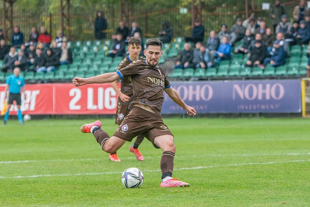 留洋与归化 留洋与归化