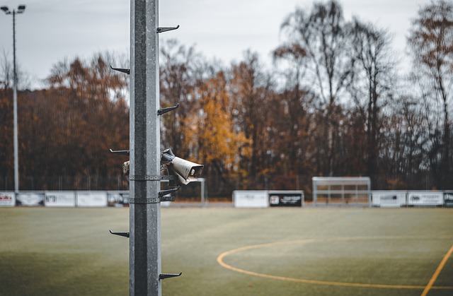 鹿的希望所 鹿的希望所