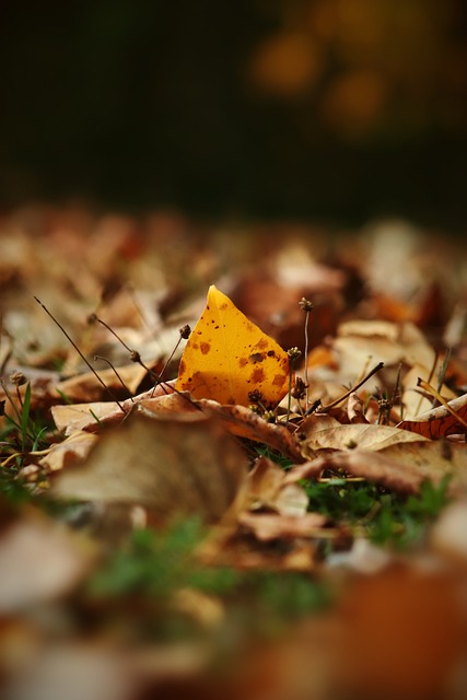 樹立了榜樣 樹立了榜樣