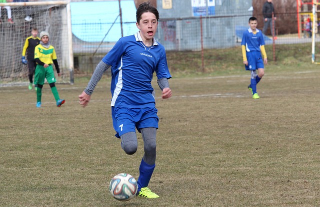 待这个单元 待这个单元