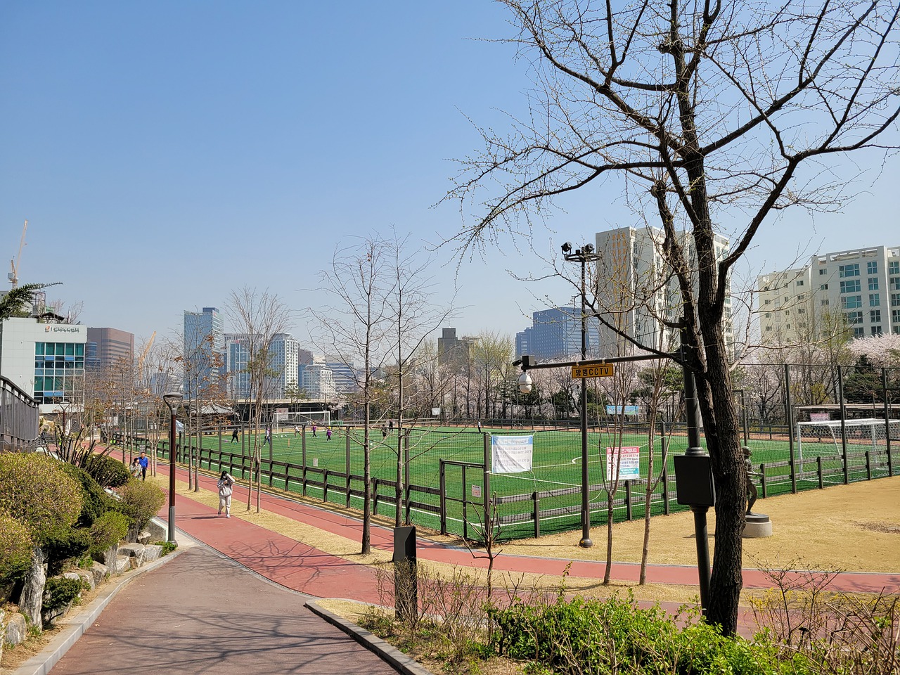 养和教学效 养和教学效